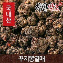 착한약초 국내산 몸에좋은약초 150종, 1A06_국산 꾸지뽕열매 600g, 1개