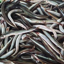 물고기자리 동해 햇 양미리(생물)1kg(25미내외), 1개, 1kg