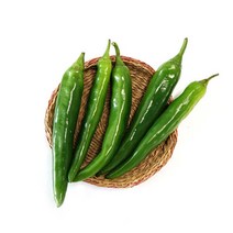 [오창농협] [농협] 친환경 오이고추 150g x 2봉, 상세 설명 참조, 상세 설명 참조