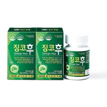 상상 징코후 기억력 개선 은행잎추출물 혈행개선, 3통, 500mg