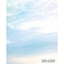촬영배경지 배경지 하늘구름 사진촬영 배경천 촬영 택배 광고 스튜디오 하늘 PP종이, 레드NF-1137