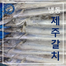[해선유통] 제주 갈치 10kg 33미 내외 1박스 [냉동]