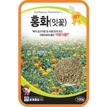 주주씨앗 홍화 100립 잇꽃씨앗 홍화씨 약용식물 국화과 관상용 염색재료 홍화종자