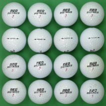 빅야드 네오디스턴스 로스트골프공 B 2피스 로스트볼 16구 화이트