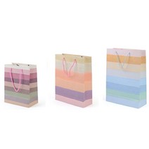 전시장 박람회 판촉물 홍보물 종이가방 쇼핑백 5P 야외 세미나 선물 결혼식 답례품, 중