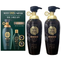 댕기머리 명품 스페셜 샴푸, 500ml, 2개