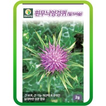 흰무늬엉겅퀴씨앗 2g 밀크시슬 약용작물 엉겅퀴씨