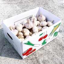 자연닮음 2023년 2차 선별된 국산 햇정품 저장 통마늘 3kg, 2. 저장마늘 대 3kg, 1개