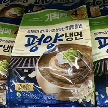 풀무원 평양물냉면 4인 1692g, 아이스팩 포장