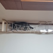 고양이 캣워커 하늘 구름다리 2단, 선택안함, 나무 천장 8개, 파스텔 그레이