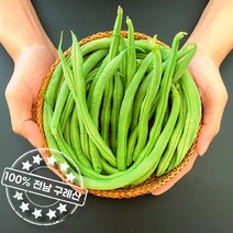 얼리지 않은 100% 지리산 산지직송 생 그린빈 롱빈(껍질째 먹어요), 그린빈(줄콩) 500g, 1개