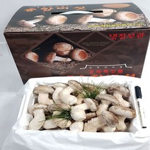 송이송향버섯(송화버섯 송고버섯) 오전11시전주문시 내일도착(주말 및 공휴일 제외), 1박스, 선물용(일품)1kg