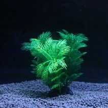 수족관 꾸미기 인공수초 5p세트(12cm) 가정용 업소용 추천 RGF00463EW, 제목색상또는랜덤