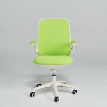 럭키 메쉬 사무용의자 오피스의자 성인의자 1인용의자 공부의자 메쉬 초등학생의자 중학생의자 학생의자, FNH01. 럭키 메쉬 의자(화이트+그린)