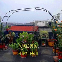 대문아치 가든 아치 게이트 대문 포도나무 터널 펜스, 중간, 블랙 3.45mx2.2m(폭x높이)