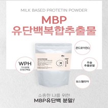 MBP 유단백 복합추출분말 콘드로이친 보스웰리아 WPH 가수분해 요거트맛 유산균 170g, 1개