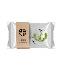 소금쟁이 관찰 자연과학 초등교과 수서곤충, 단품, 단품