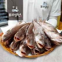 반건조 민어 조기 10~18마리세트 25~30cm반찬용(부산 망미중앙시장), 민어조기25cm 18마리