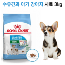 [신제품] 임신한 소형견 영양사료 마더 베이비독 8.5kg 기호성 푸들 말티즈 포메 비숑 시츄 말티즈 수유견 미니푸들 치와와 요크셔 대용량사료 기력보충, 습식통조림X12개