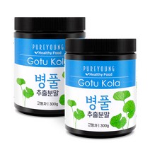 퓨어영 병풀 추출물 분말 300g 호랑이풀 고투콜라, 2통