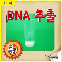 DNA추출 RMR