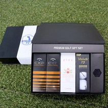 [주문제작]골프공 각인 프리미엄 골프용품 선물세트 부모님 친구 모임 SM-16, 16.이름