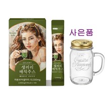 샐러리 매직주스 샐러리주스, 3박스(42포) + 사은품 핸들자