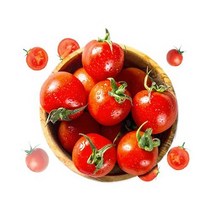 야과몰 영양소와 비타민 듬뿍 알찬 방울토마토 중 5kg, 1box