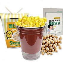 뮤템 콩나물 키우기 관찰일지포함 생물실험세트