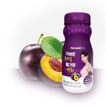 내츄럴플러스 가벼운쾌감 즐거운변화100ml 푸룬 쾌변쥬스 식이섬유, 1개, 1개