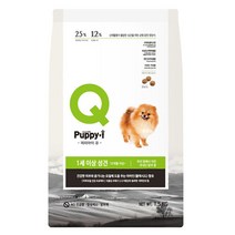 애견사료 퍼피아이 성견 1.5kg 피부모질 강아지 사료 _ 2210228EA, 쿠팡2 본상품선택
