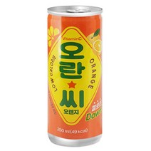 오란씨 오렌지 탄산음료, 250ml, 90개