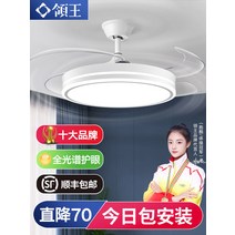 대형 거실 샹들리에 천장 조명 led Lingwang 팬 램프 보이지 않는 홈 식당 침실 선풍기 통합, [01] 특별 제공 36인치-3기어 윈드 디밍-리모콘〖