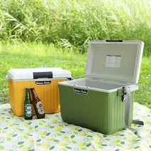 감성캠핑 피크닉 낚시여행용 핸들 쿨러 아이스박스17L, 그린