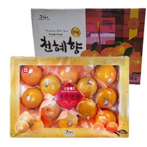 청정 제주의 황금열매 명품 한라봉 레드향 천혜향 선물용 3kg 특 대과, 05_천혜향 3kg(14과내외)