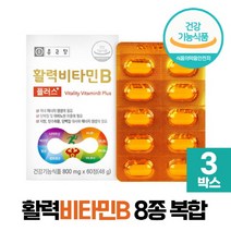 활력 비타민B 활성 비타민비 플러스 수용성 비타민B군 8종, 3ea, 60정