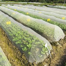 한랭사 활대세트 텃밭 병충해 방지, 보드 40장