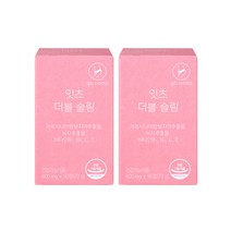 네츄럴굿띵스 잇츠 더블 슬림 90정, 90정 2개