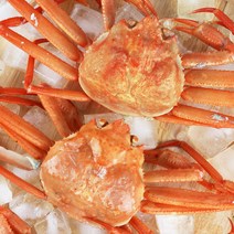 미각기행 자숙 연지홍게 고급형/실속형/육수용 1kg-3kg, 05. 자숙 연지홍게  고급형 2kg 6~8미