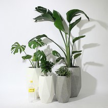 식물학개론 테라조화분 대형화분 거실화분 아몬드화분