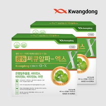 광동 써큐알파-엑스 4개월분 120정 은행잎 추출물 혈액순환개선 기억력개선 영양제, 120개, 2개
