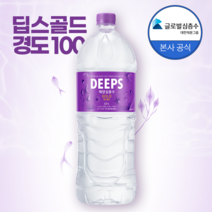 딥스 해양심층수 딥스골드 2L 500ml 속초공장직송, 12병, 2리터