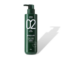 아모스 녹차실감 샴푸 지성샴푸 500g, 4개