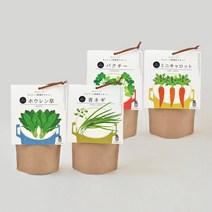 세이신 그로우스프-시금치 고수 쪽파 미니당근 키우기