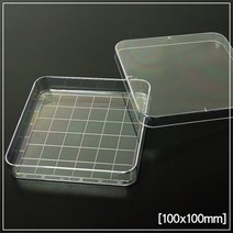 세균 평판배양 미생물 검사 사각 눈금 페트리 접시 샬레 10개 플레이트 배지