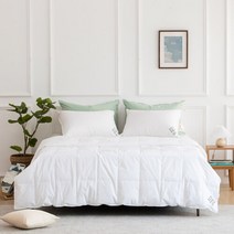 [소프라움] 좋은이불솜 RDS80 60수 구스다운 간절기 이불솜 싱글/퀸/킹, 화이트, 싱글(MDS23SS07D12WHS)