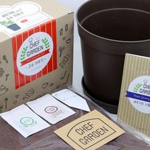 아트박스/에이치플러스몰 파라솔 셰프가든 고수키우기 WA04847