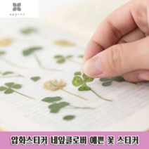 보드미_리빙 네잎클로버스티커 압화스티커 네잎클로버 예쁜 꽃 스티커 다꾸 자 4P, 본상품, 1개