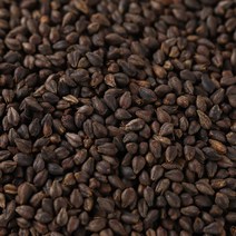 국내산 흑메밀볶음차 1kg dk 한방재료 한방 건강 약초, 1개