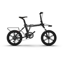 EASY RIDE 이지라이드 펫 몬스터 전기자전거 주행거리 100KM, 실버